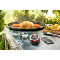 Weber® iGrill 2 mit zwei Messfühlern