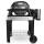 Weber® Pulse 2000 with Cart