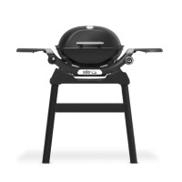 Q 1200N Gasgrill mit Stand
