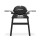 Q 1200N Gasgrill mit Stand